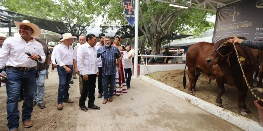 Ganado Cebú Destaca en Muestra Mexicana en Tabasco
