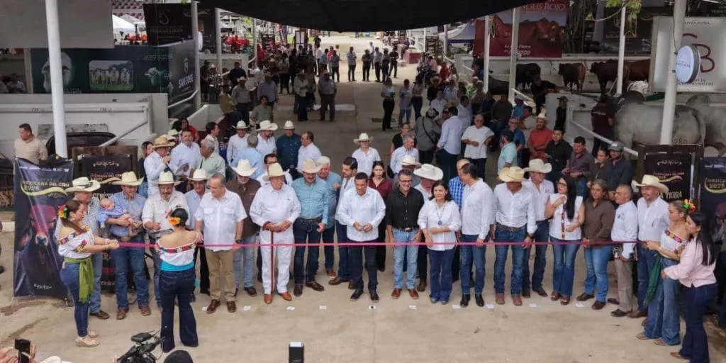 Ganadería de Alto Registro en la Muestra Mexicana del Cebú