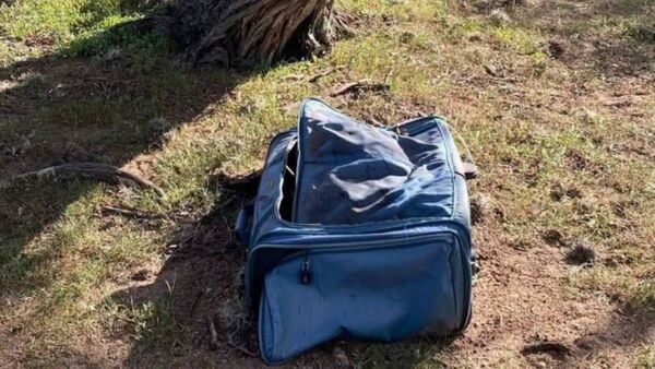 Identifican restos hallados de joven de 17 años en una maleta en Zacatecas