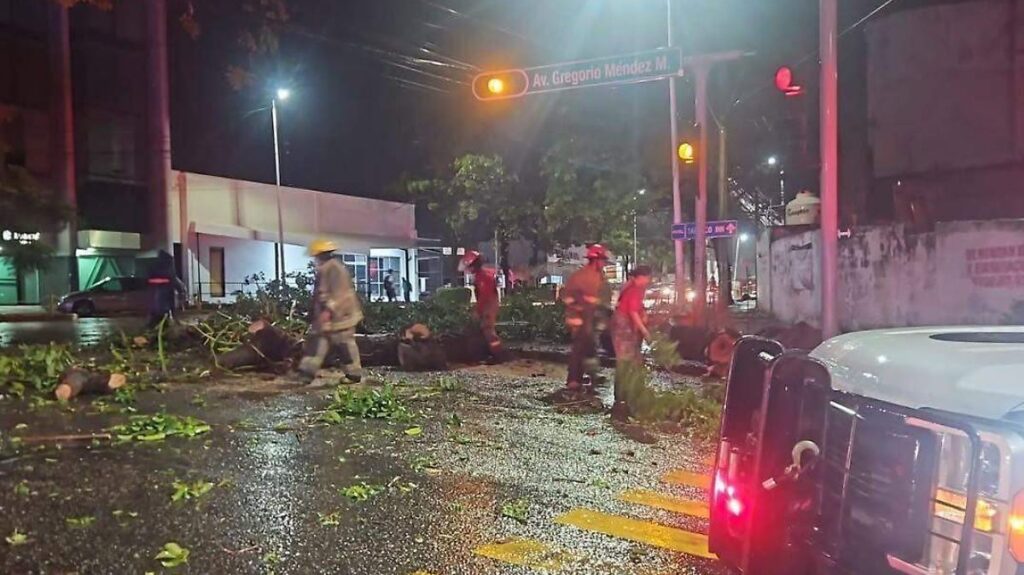 Vientos y lluvias dejan árboles caídos en Villahermosa: Así se vivió la tormenta