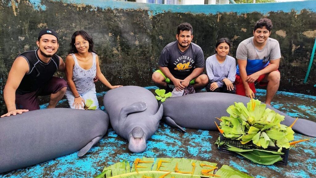Impulsan Juchimanes investigación científica y tecnológica en Tabasco