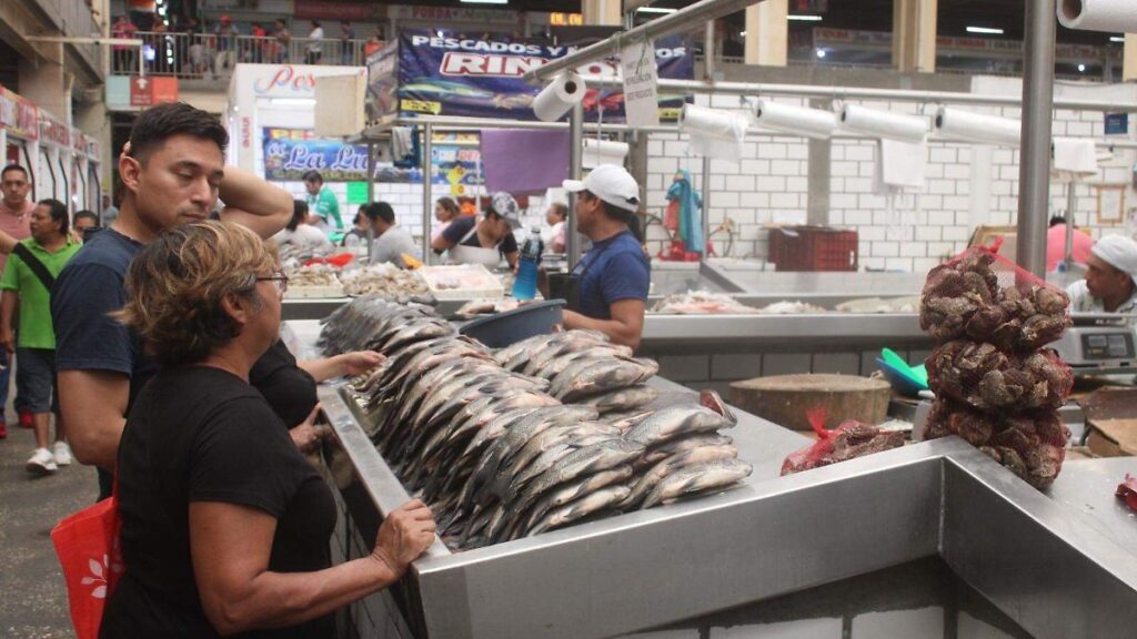 Comerciantes del Pino Suárez enfrentan veda del robalo comprándolo fuera de Tabasco 