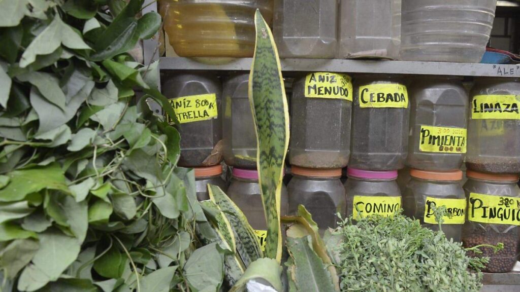 UJAT abre el intercambio de conocimientos tradicionales y científicos sobre remedios herbolarios