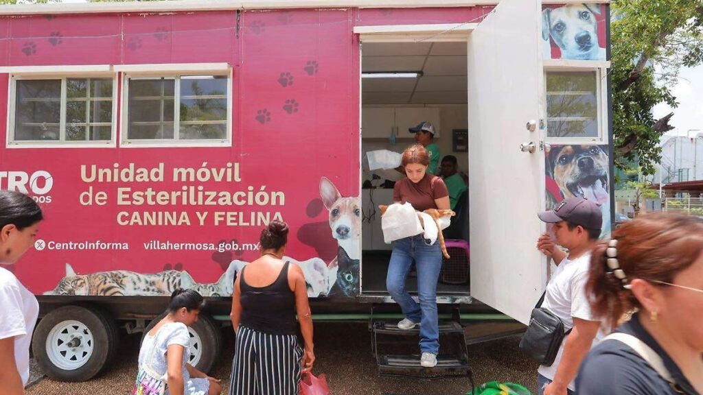 Esterilizan a 40 gatos en el Parque Tomás Garrido Canabal