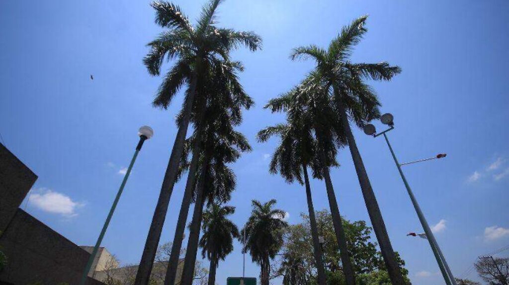 Persisten lluvias y altas temperaturas este viernes en Tabasco