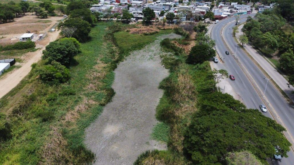 Sequía y contaminación devastan laguna El Sacrificio en Villahermosa; fauna en riesgo