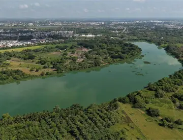 Plantarán 2.4 millones de árboles para el 4 de octubre, anuncia Gobierno de Tabasco