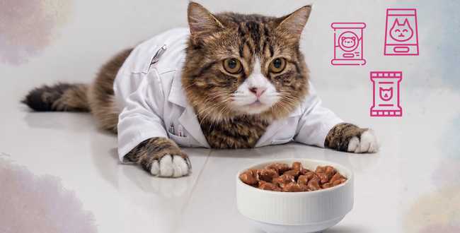 Detectan incumplimientos en alimento húmedo para gato