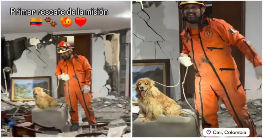 Topos Azteca realizan su primer rescate en Colombia tras terremoto de 7.4