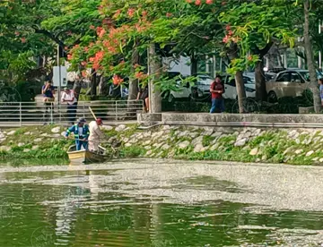 Se registra mortandad de miles de peces en la Laguna de las Ilusiones