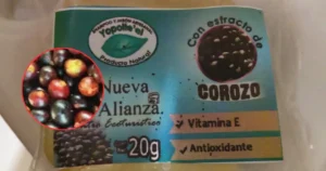 ¿Conocías el Jabón artesanal de corozo? Su origen en Chontalpa