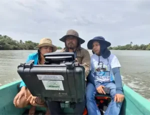 Investigadores de la UJAT y autoridades fortalecen acciones para conservación del manatí en Tabasco